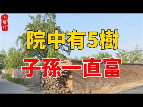 後院種什麼樹|園藝家：小院果樹種植需要注意些什麼？ 